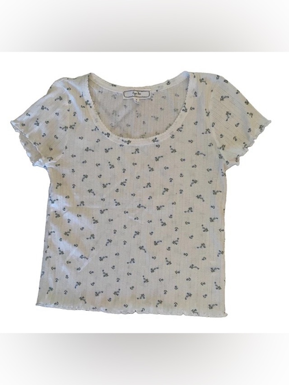 Hippie Rose Cream Ribbed Scoop Tee with Tiny Blue Floral Print